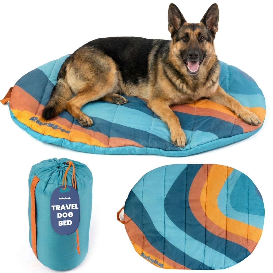 Lit de voyage pour chien - Pliable et compact pour les voyages en voiture et le camping