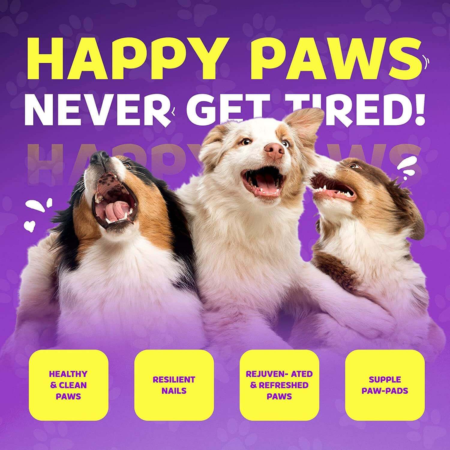 Happy dogs showcasing clean and refreshed paws with Dog Paw Foam - The Original PawFoam.