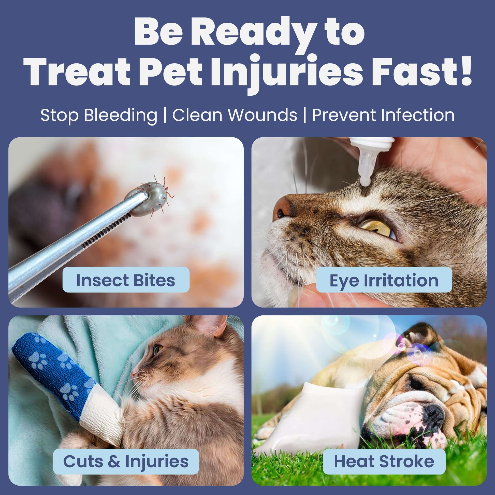 Pet First Aid Kit for Dogs Vet Approved Essentials for insect bites, eye irritation, cuts, and heat stroke emergency care.