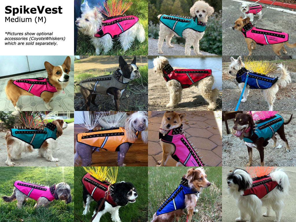CoyoteVest Dog Predator Protection Vest