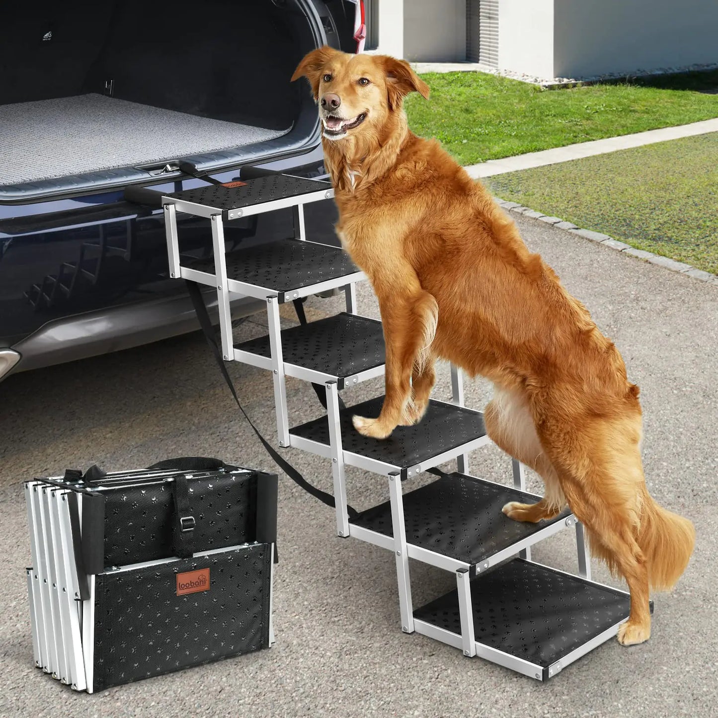 EasyCarry MaxSupport Dog Ramp