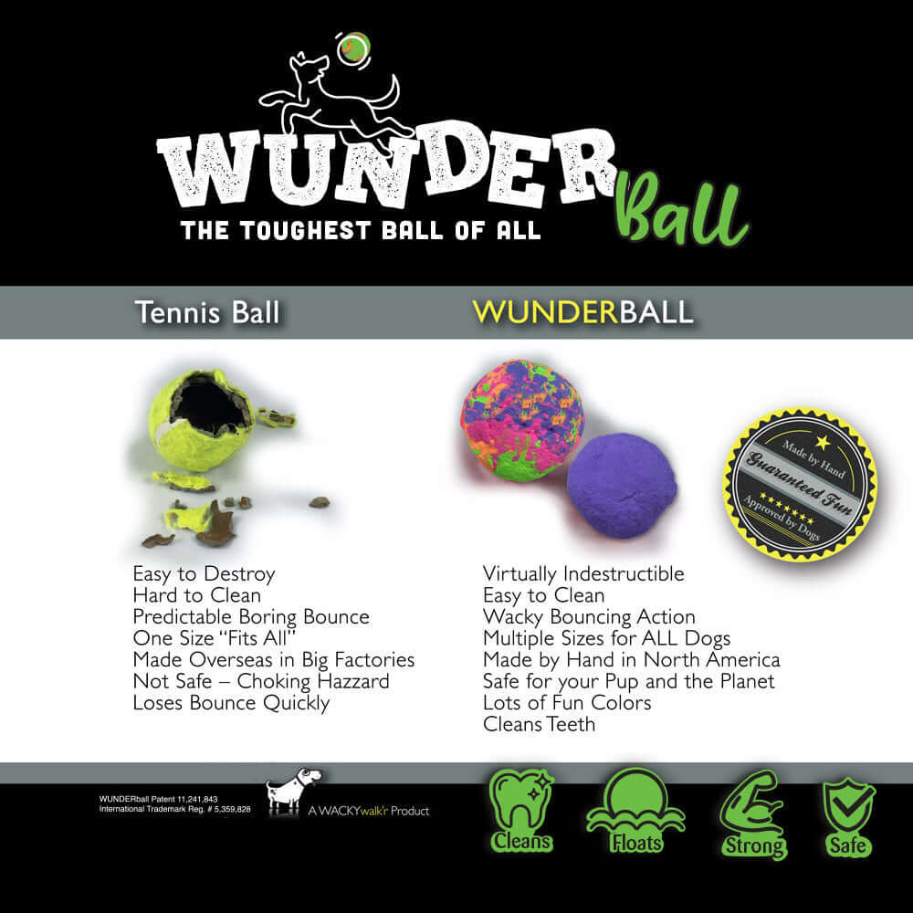 WUNDERBALL - Best Fetch Toy