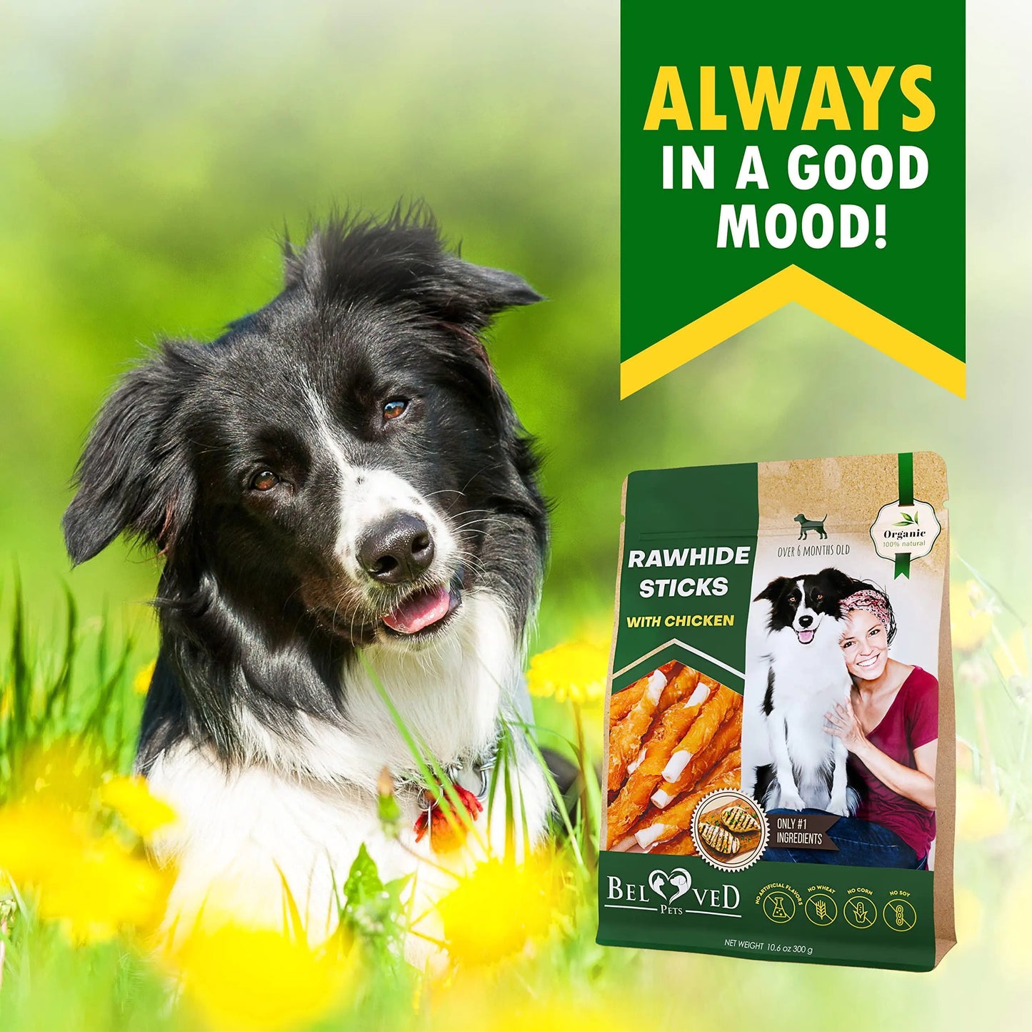 Chicken-Wrapped Rawhide Chew Sticks for Dogs