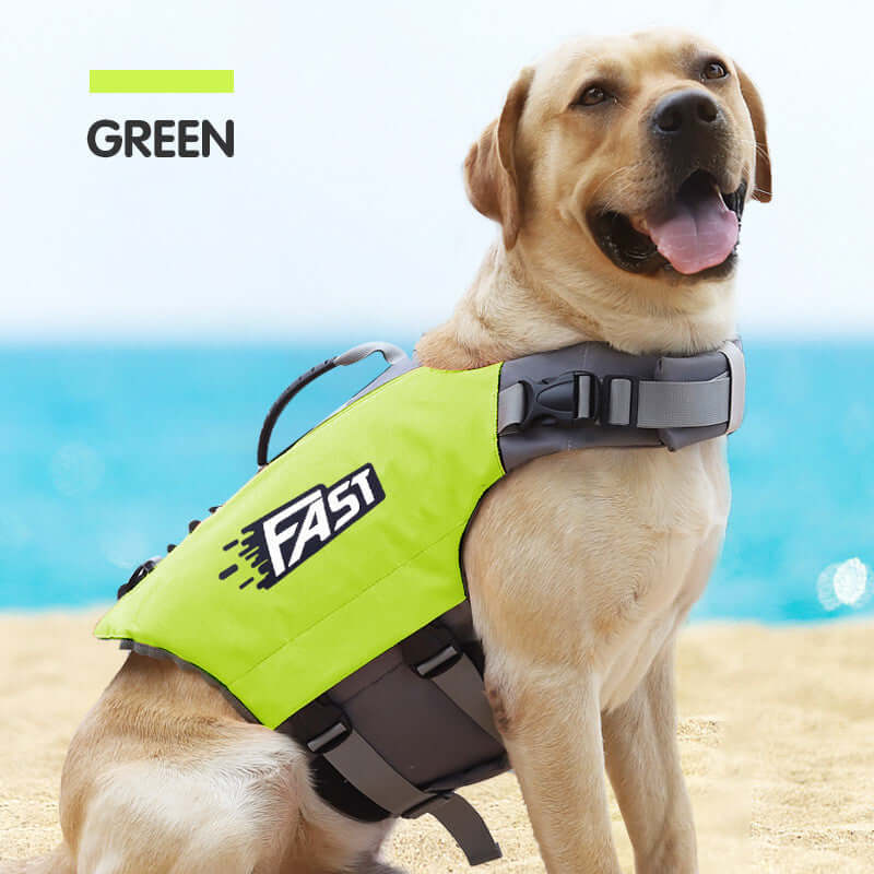 Reflective Printed Dog Life Jacket Swimming Suit on a happy dog at the beach in green color.