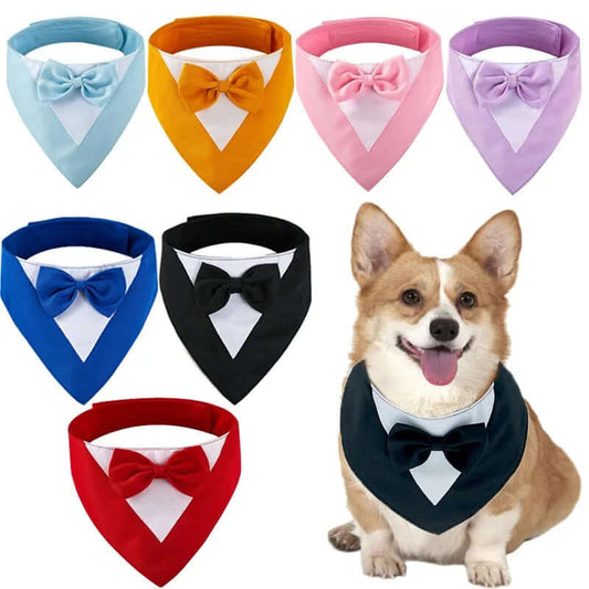 Bow Tie Dog Collar Scarf Bib