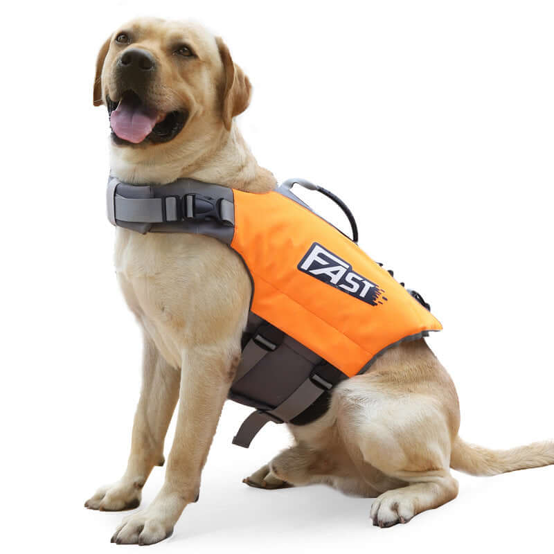 Reflective Printed Dog Life Jacket Swimming Suit on a happy Labrador retriever in orange.