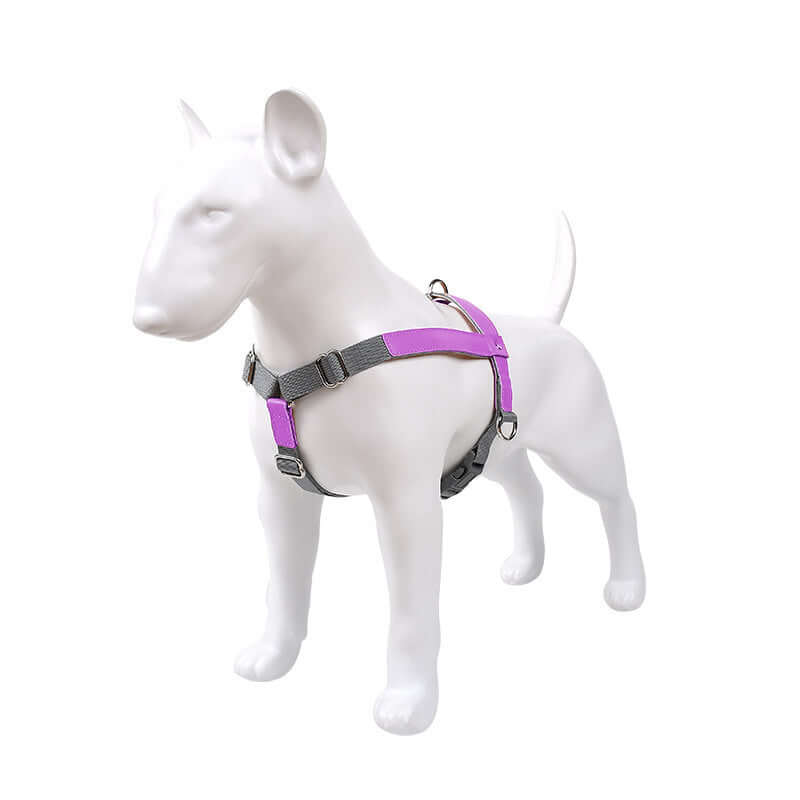 Leather Dog Harness Leash Set displayed on a model dog showcasing its fashionable design and vibrant colors.