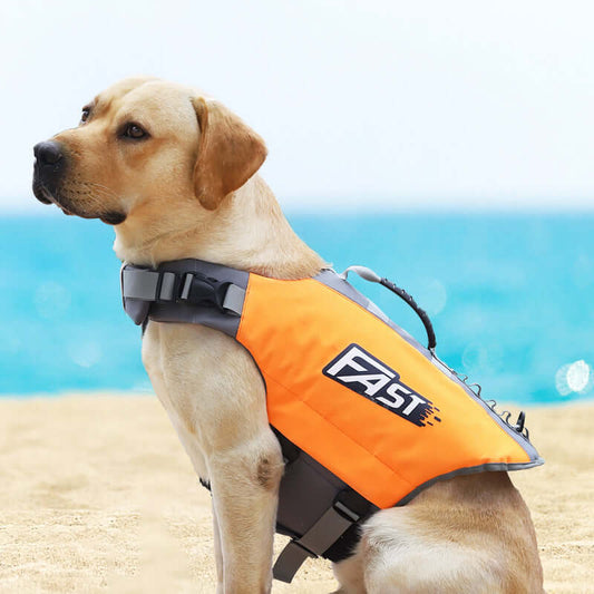 Reflective Printed Dog Life Jacket Swimming Suit on a dog by the beach with a blue ocean in the background.