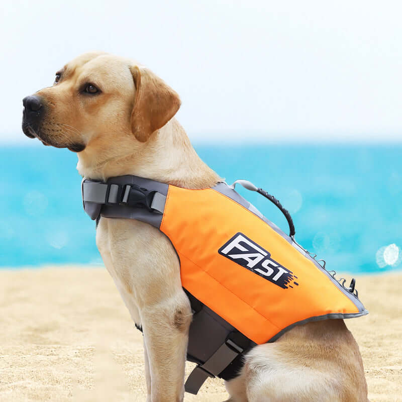 Reflective Printed Dog Life Jacket Swimming Suit on a Labrador at the beach, showcasing safety and style.