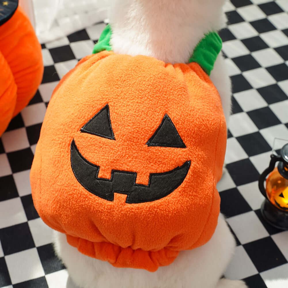 Halloween Pumpkin Pet Costume – Vest, Hat & Set Options