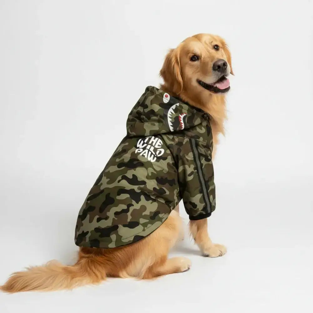 Golden retriever wearing a Mountain Quest Windbreaker for Dogs in camouflage design.
