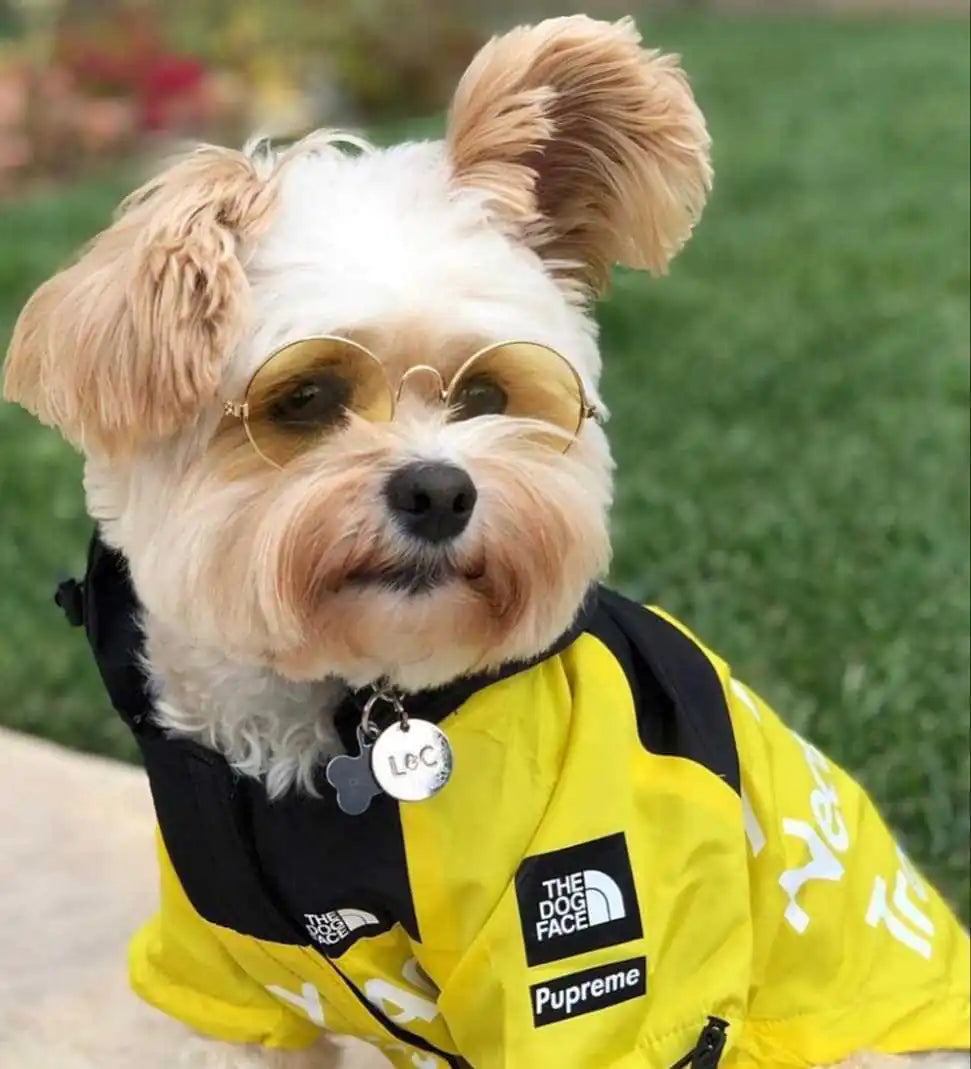 Dog Rain Jacket for Large Pets