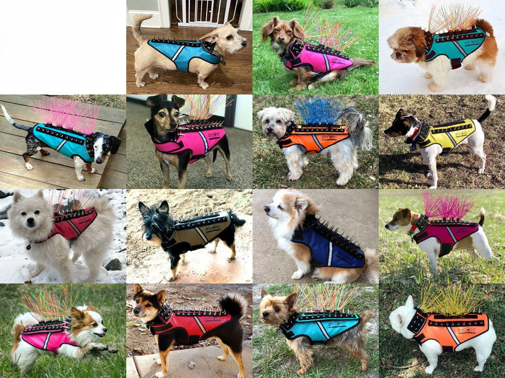 CoyoteVest Dog Predator Protection Vest