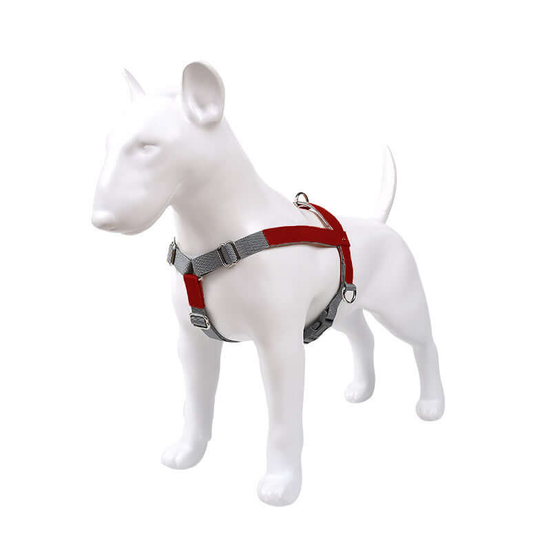 Leather Dog Harness Leash Set displayed on a model dog, showcasing a stylish design in red and gray.