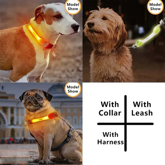 Collar Dog LED Lights Clip - Waterproof Anti-lost Tag for Night Walking