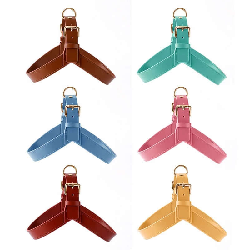 Summer Dog Vest Chest Harness and Leash in various colors: brown, teal, blue, pink, and yellow.
