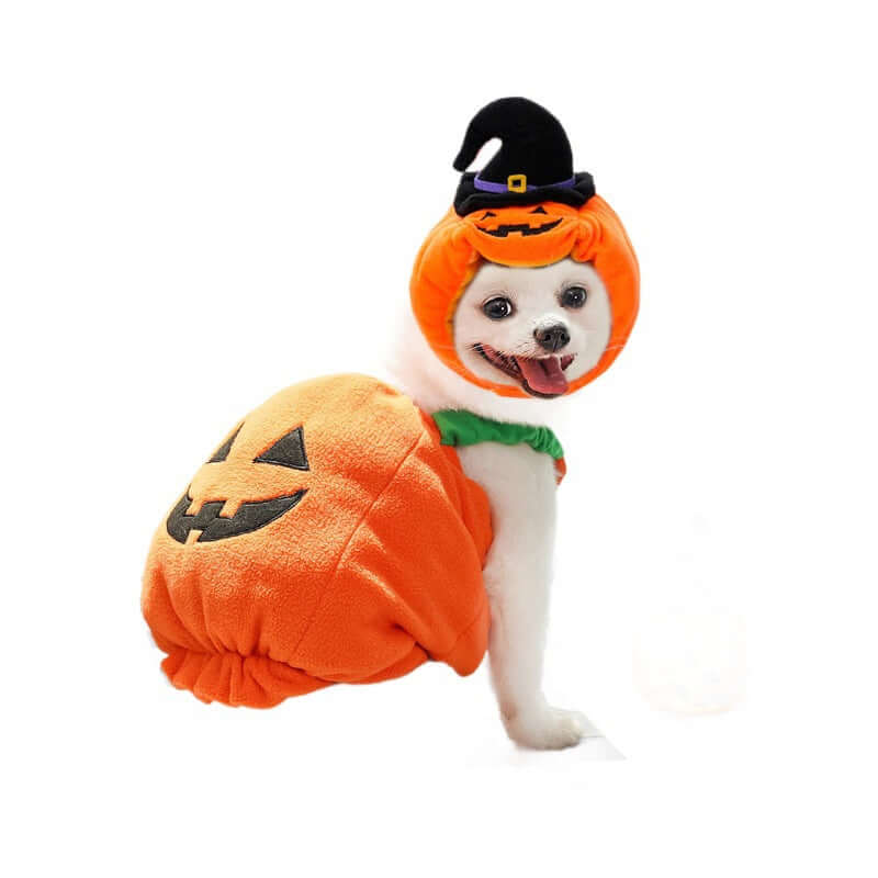 Halloween Pumpkin Pet Costume – Vest, Hat & Set Options
