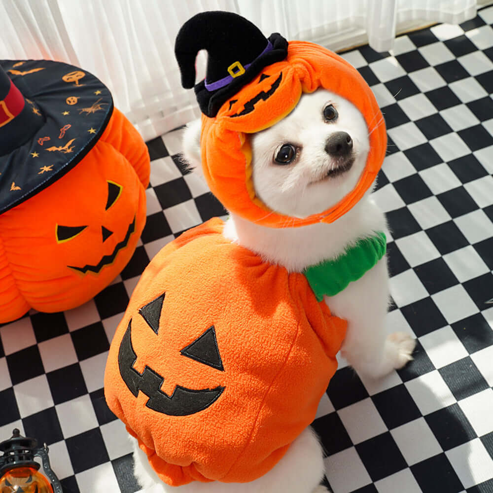 Halloween Pumpkin Pet Costume – Vest, Hat & Set Options