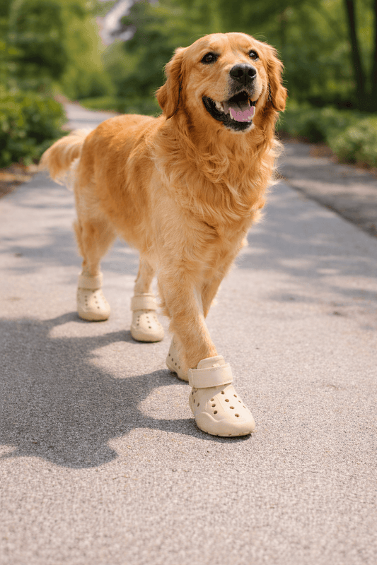 Indoor Dog Boots & Dog Shoes — Non-Slip Paw Protection (4-Pack)