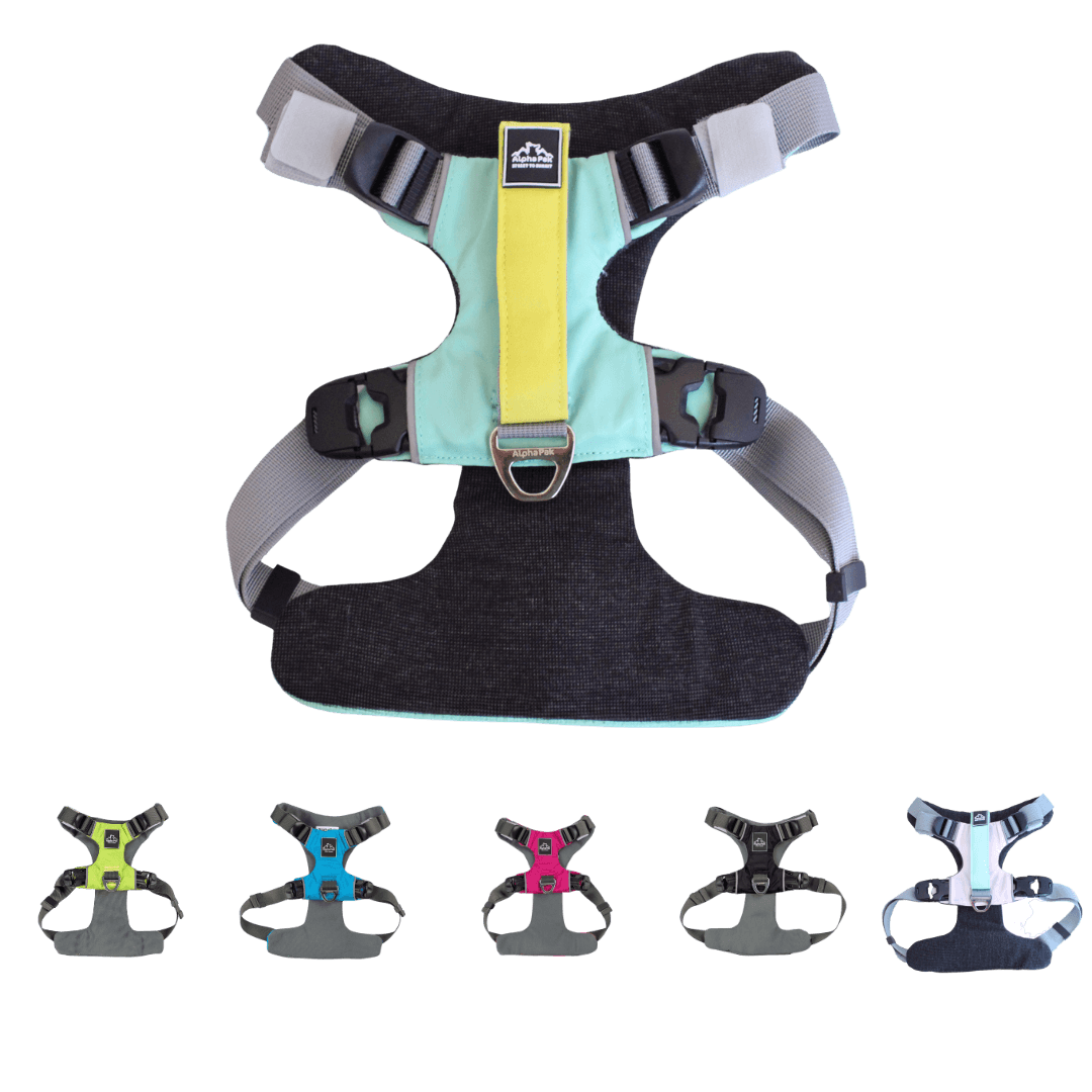 Everyday Adventure Dog Harness featuring EZ Fit™ straps and buckles for quick adjustments in multiple colors.