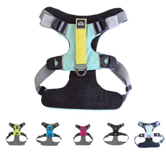 Everyday Adventure Dog Harness featuring EZ Fit™ straps and buckles for quick adjustments in multiple colors.