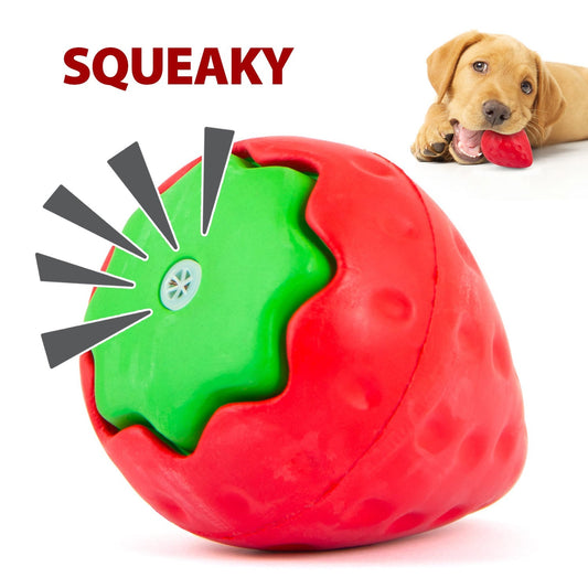 Jeffers Squeaky Strawberry Natural Rubber Dog Dental Chew Toy with Squeaker