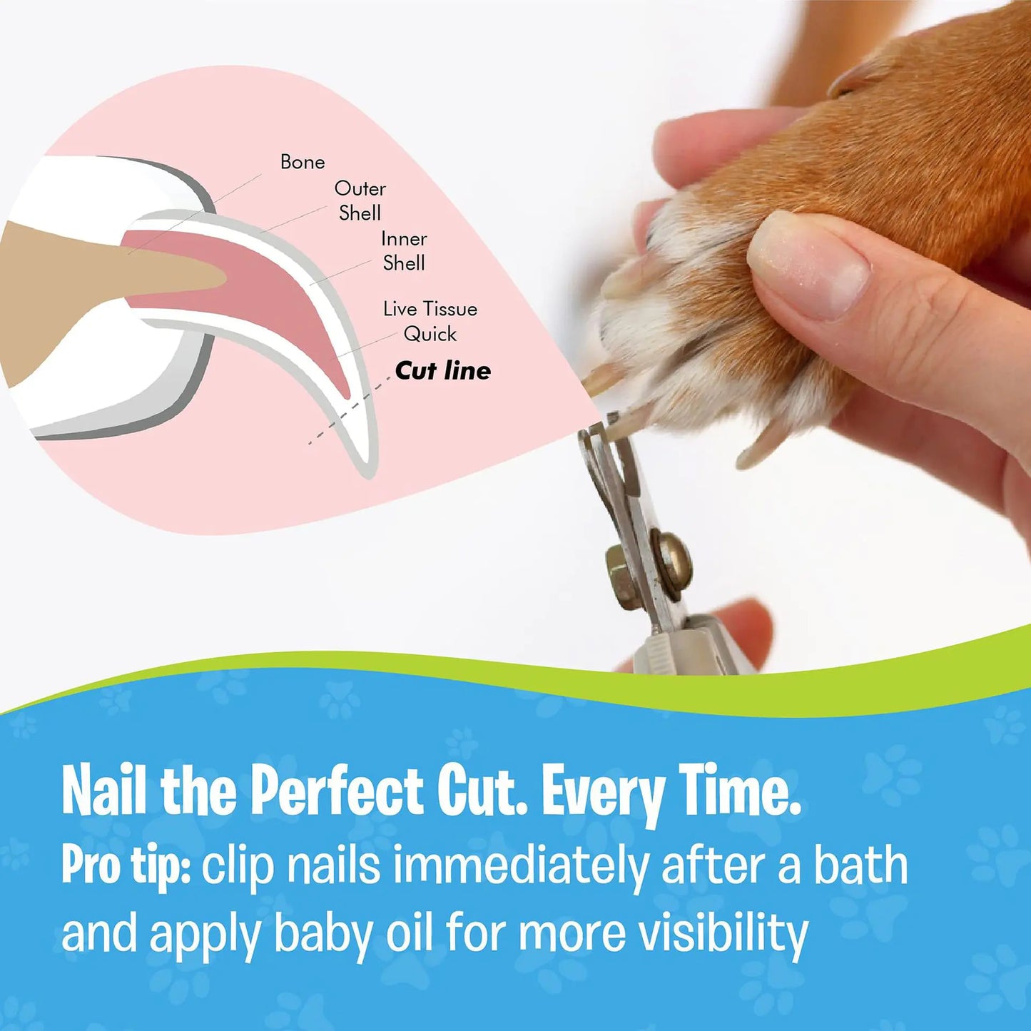 Pet Nail Clippers and Trimmers with Safety Guard