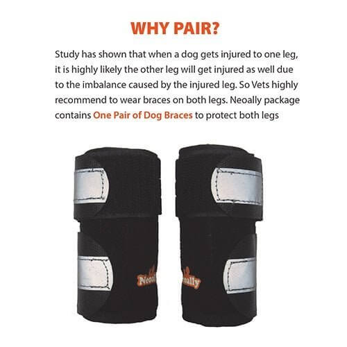 Dog Front Leg Brace Reflective-Metal Spring Inserts for Carpal Support with two black braces and silver fasteners.