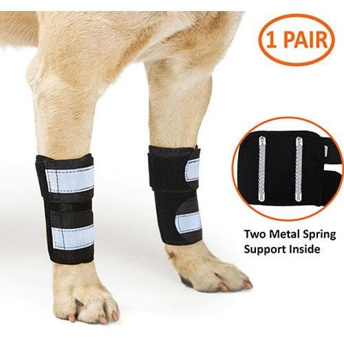 Dog Front Leg Brace Reflective-Metal Spring Inserts for Carpal Support with two metal springs shown on a dog's legs.