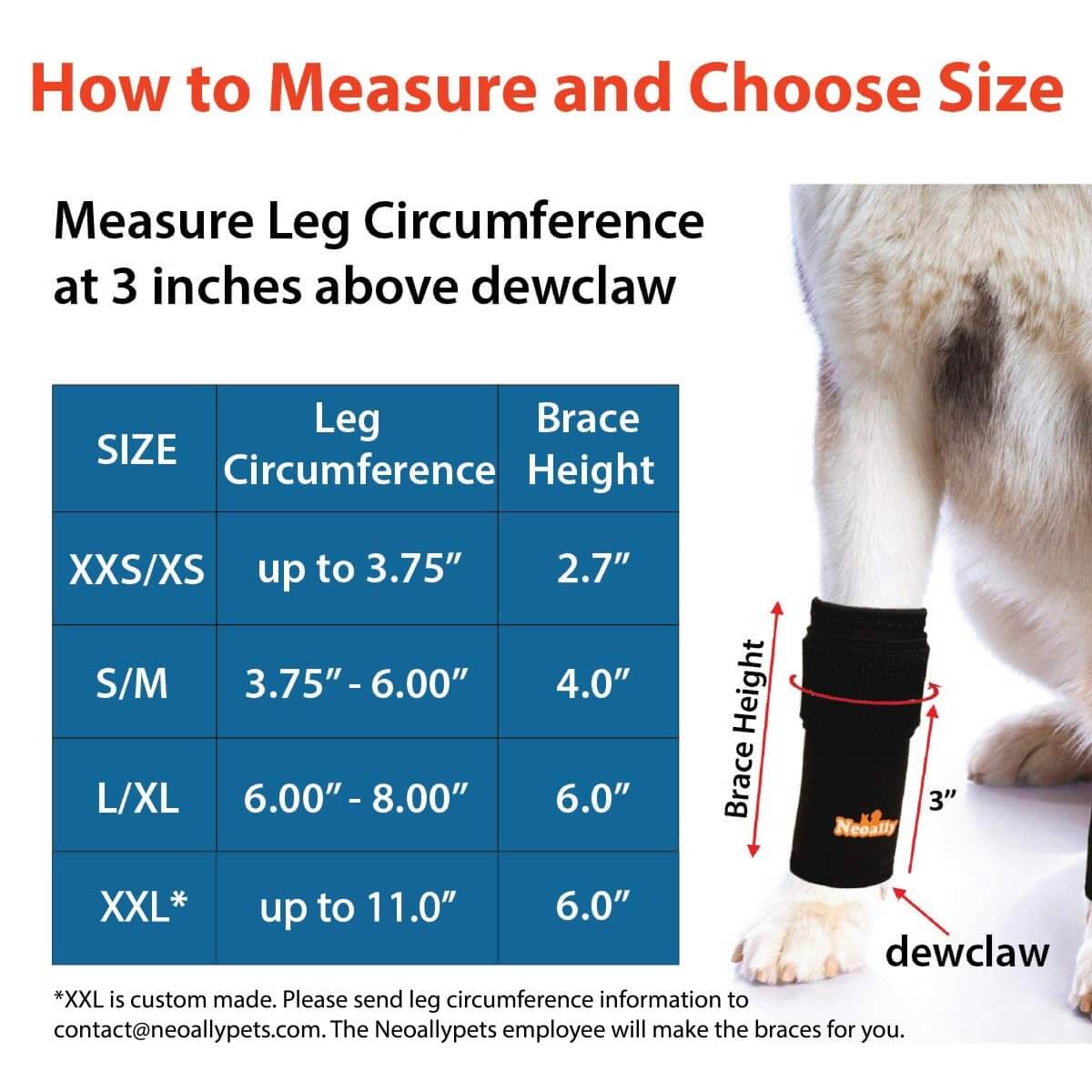 How to Measure and Choose Size for Dog Front Leg Brace Reflective-Metal Spring Inserts for Carpal Support
