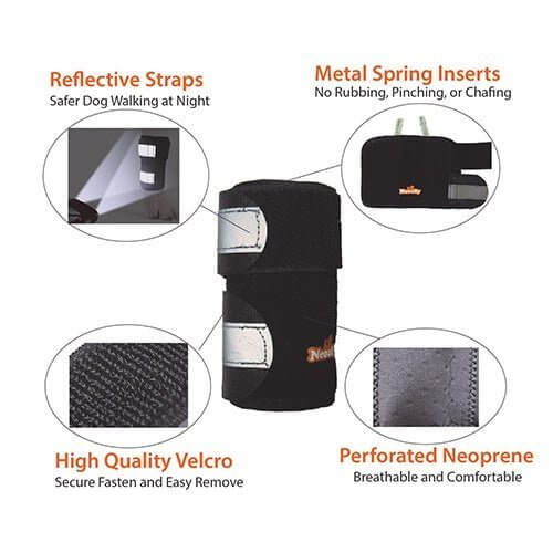 Dog Front Leg Brace Reflective-Metal Spring Inserts for Carpal Support features reflective straps and high-quality velcro.