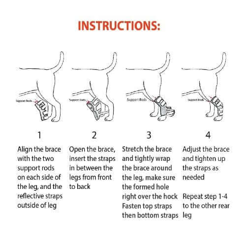 Instructions for using the NeoAlly Dog Rear Leg Hock Brace Metal Spring Strips for L Dogs Long.