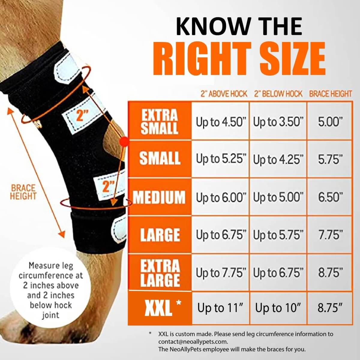 Size chart for NeoAlly Dog Rear Leg Hock Brace Metal Spring Strips for L Dogs Long with measurements.