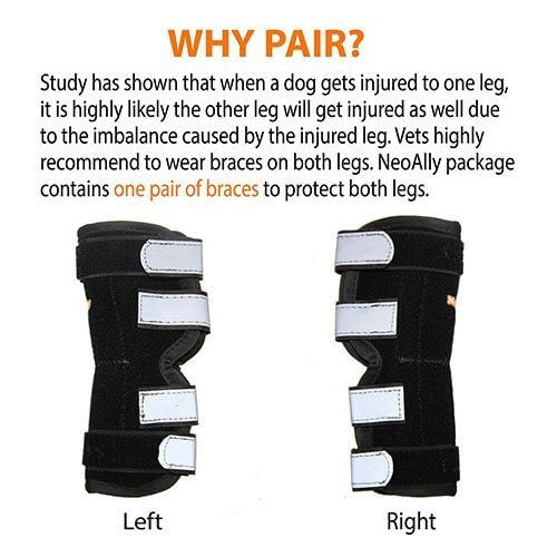 NeoAlly Dog Rear Leg Hock Brace Metal Spring Strips for L Dogs Long - Left and Right Brace Pair Image
