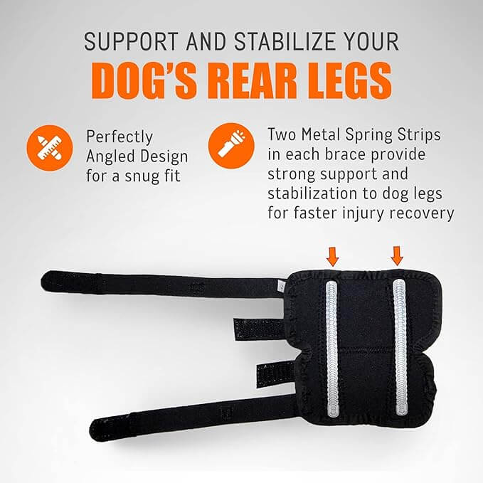 NeoAlly Dog Rear Leg Hock Brace Metal Spring Strips for L Dogs Long with two metal spring strips for support.