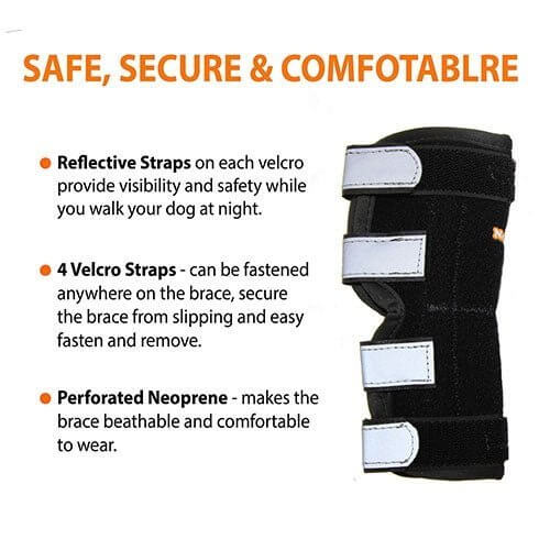 NeoAlly Dog Rear Leg Hock Brace Metal Spring Strips for L Dogs Long features reflective straps, Velcro straps, and breathable neoprene.