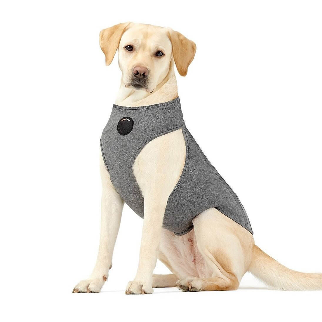 NeoAlly Upgraded Dog Surgical Recovery Vest for Dogs and Cats on a dog sitting calmly.