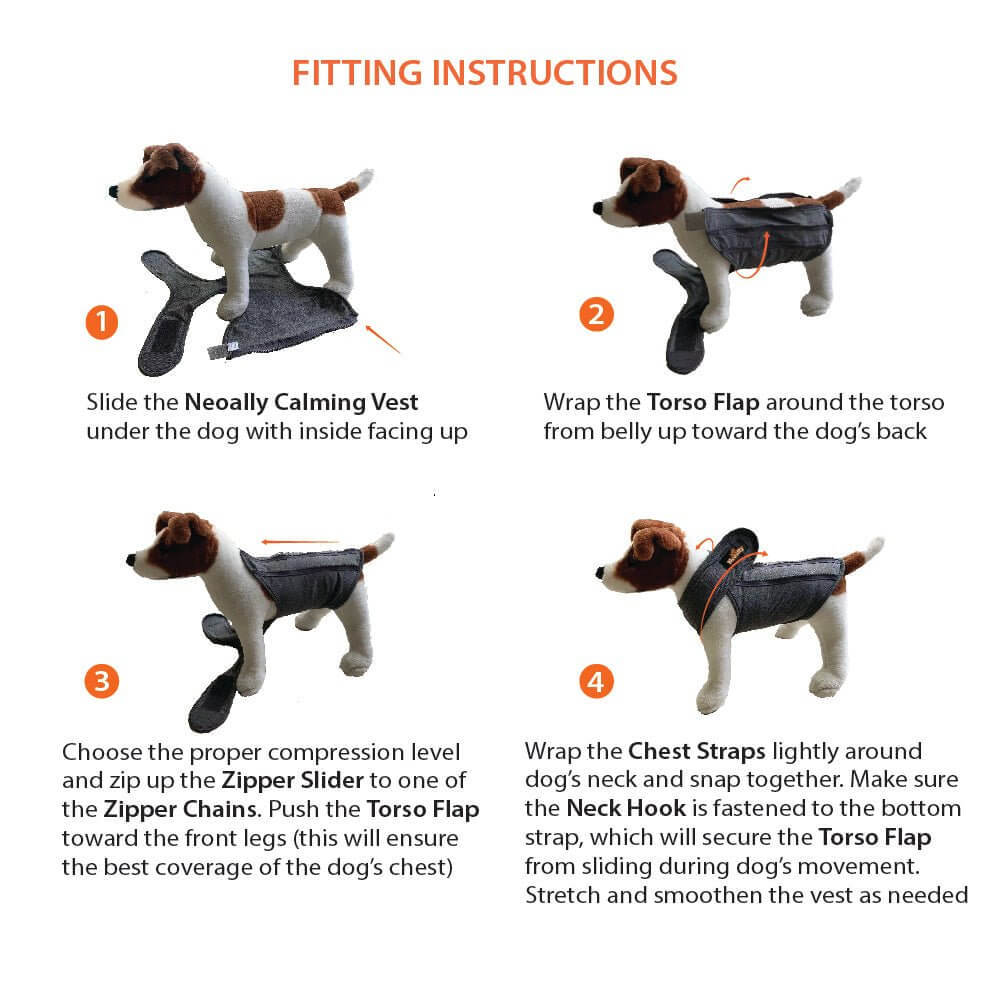 Fitting instructions for NeoAlly Upgraded Dog Surgical Recovery Vest for Dogs and Cats on a model dog.