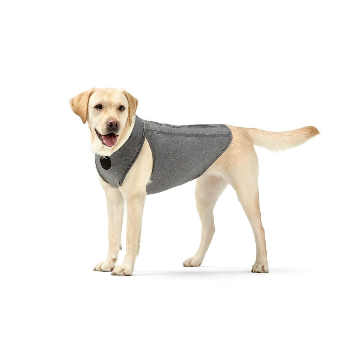 NeoAlly Upgraded Dog Surgical Recovery Vest for Dogs and Cats worn by a happy Labrador in grey.