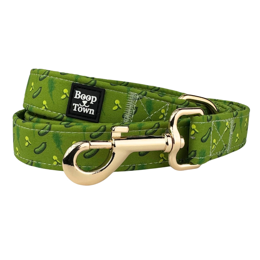Laisse pour chien mignonne Boop Town de 1,5 m de long